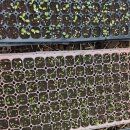 연담농장 이미지