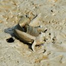 동해회관 이미지