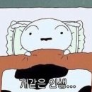 포항닭칼국수 이미지