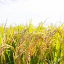 감산축산 이미지