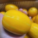 세영농장 이미지