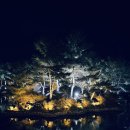 용장골순두부 | 24. 1월 경주여행 1박 2일