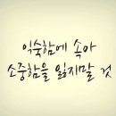 태릉피자