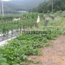 구산면530 이미지