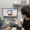 양주동물병원 이미지