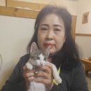 미미 (美美) 이미지