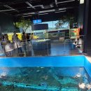 괴산읍 어린이놀이터 | [괴산]충청북도아쿠아리움&amp;곤충체험전시관&amp;어류양식체험관&amp;괴강토종어류체험관&amp;김만들기체험