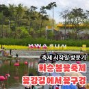 화순 하니움문화스포츠센터 공설운동장 | 화순 봄꽃축제 첫날 꽃강길 방문기