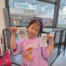 헤이리주유소 | 파주 헤이리마을 600평 대형키즈카페 아지동키즈카페