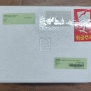 옐로우샤크 이미지