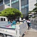 소산도 이미지