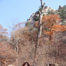도  곡 이미지