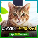 그르릉 이미지