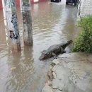 주강농장 이미지