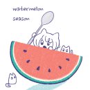 미미캣 이미지