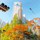 홈플러스(주)부산반여점 | 부산시해운대구반여동아파트경매/ 반여아시아선수촌경매 48평형 2회유찰64% 2023타경111099