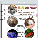쥬니멀 이미지