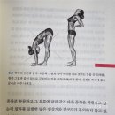 맥켄지 이미지