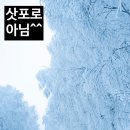 오오도리