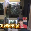 호장마차 이미지