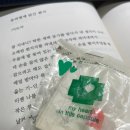 원곡종로약국 | &lt;005 우울&gt;, 파도, 안소연 외 53명