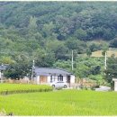 느린오후 이미지