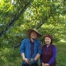 이영호 농장 이미지