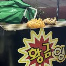 블루 자이언트 후기, 판교역 붕어빵, 판교 CGV