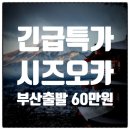 데이제로컴퍼니