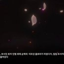 엘리 야리 | 고양ㅇ 놀라움후기