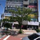 흰토끼의원