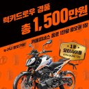 피네스