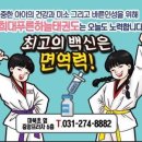 경희대푸른하늘태권도