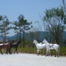 부여백제(서천)휴게소 이미지