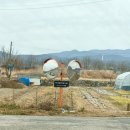 경북한의원 | 경주 대추밭백한의원 난임 예약 꿀팁 4대원장님 진료 후기 가격