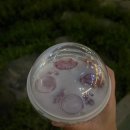 [왕가탕후루] 딸기사고 후기/공차 미니펄과 비교 후기/내돈내산