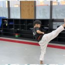 백석 더 혼 태권도 이미지