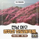 제32회 여수영취산진달래축제 | 2026 여수 영취산진달래축제 : 일정 주차 등산로 일정별행사 축하공연 프로그램 먹거리 총정리