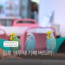 버드리김포 이미지