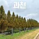 둘레길순대국 | 서울대공원 산림욕장길 산림욕장 둘레길 리뷰