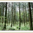 명서다리 앞 버스정류소 이미지