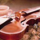 산들가축 이미지