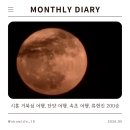 떡가온 | 26년 5월 월간 일기 : 시흥 단양 속초 여행 외 일상
