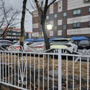 세일병원 앞 | 블루래빗 패밀리세일 마감시간 후기&amp;주차팁&amp;맛집추천