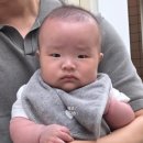 영진오빠수제닭꼬치
