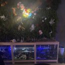 뽀뽀유성상어켄넬 | [유성 아쿠아리움]-대전이색카페 아이랑, 데이트 가볼만한 곳