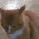 해뜨는봄봄 이미지