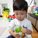 배짱이닷컴