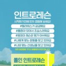 폴린 필라테스