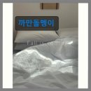 쉼터민박 | 제주 구좌 돌집 민박 까만돌멩이 평점 4.97점의 조용한 쉼터